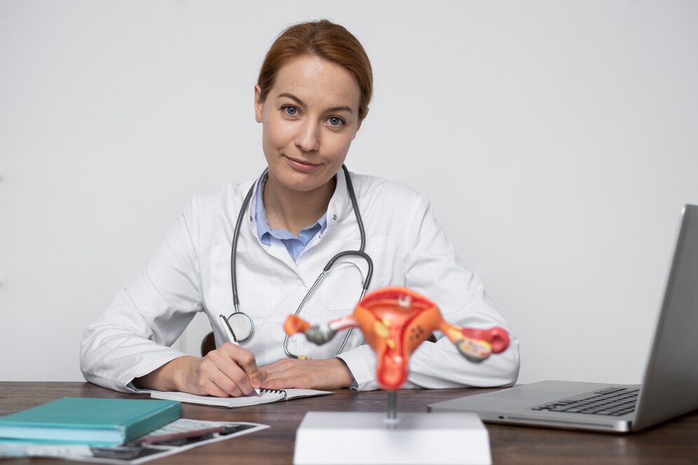 Medical professional reviewing anatomical model of female reproductive organs at desk.